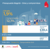 Presupuesto anual de gastos e inversiones (enero del 2025)