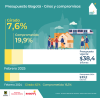 Presupuesto anual de gastos e inversiones (febrero del 2025)